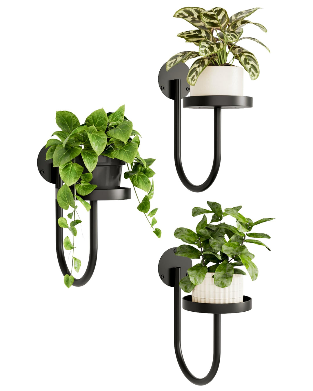 Bamworld Blumenständer Wandmontage 3er Set – U-Form Pflanzenregal aus Metall für Wohnzimmer & Balkon