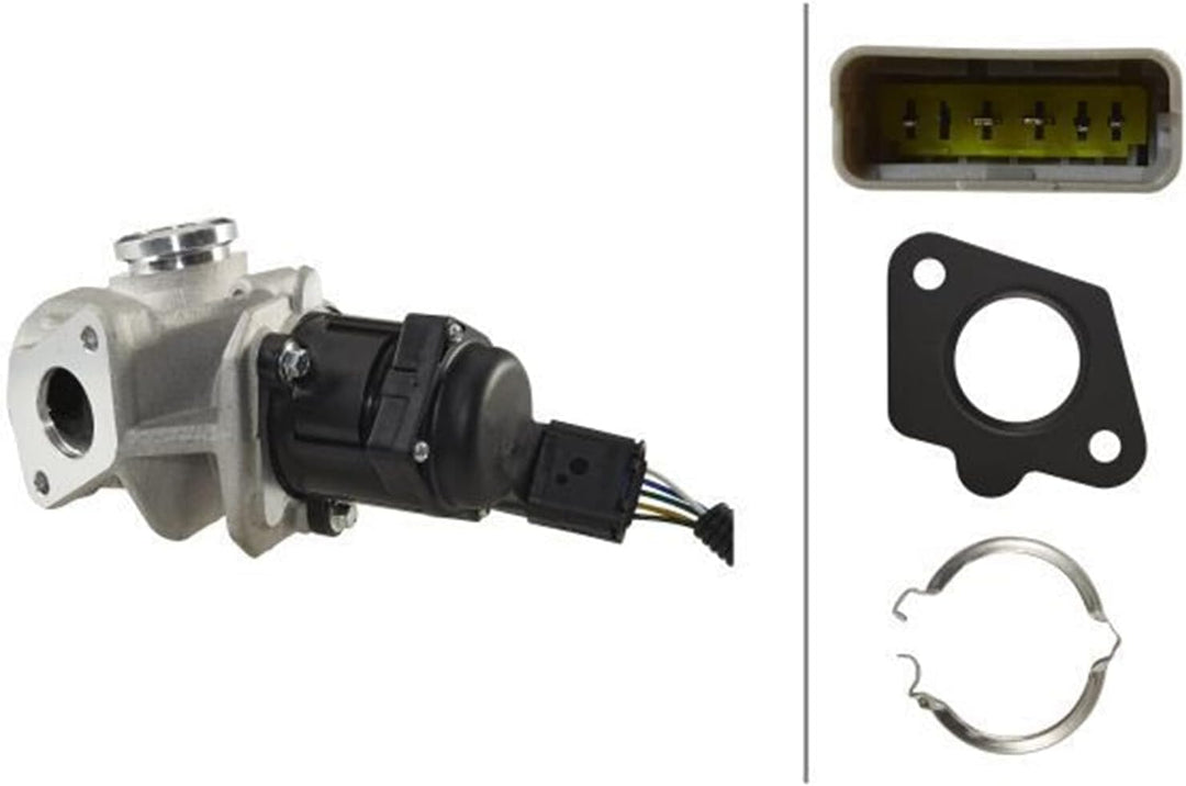 HELLA 6NU 010 171-651 AGR-Ventil - elektronisch - 5-polig - mit Dichtung - mit Schelle