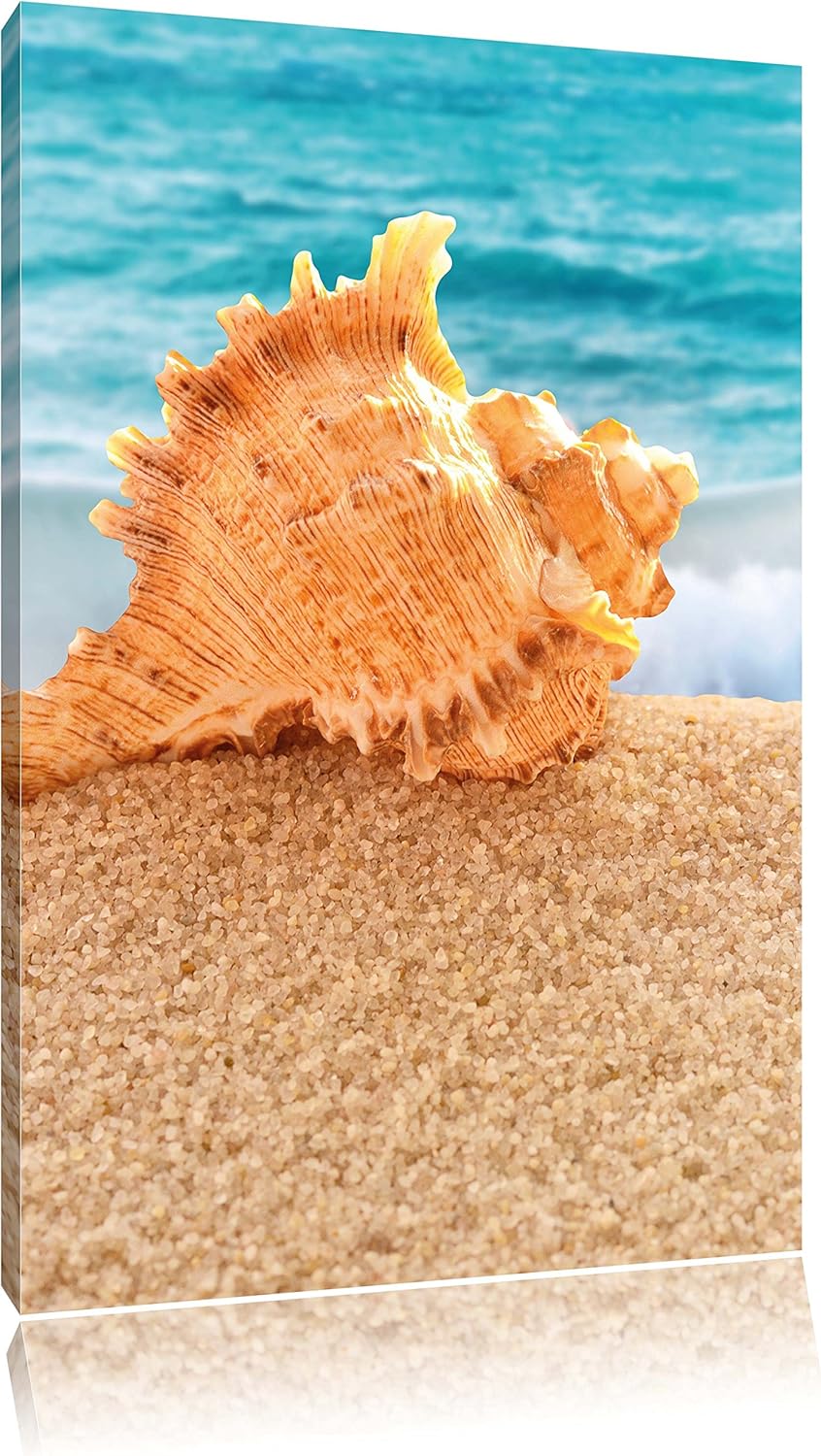 Muschel am Strand, Format: 100x70 auf Leinwand, XXL riesige Bilder fertig gerahmt mit Keilrahmen, Ku