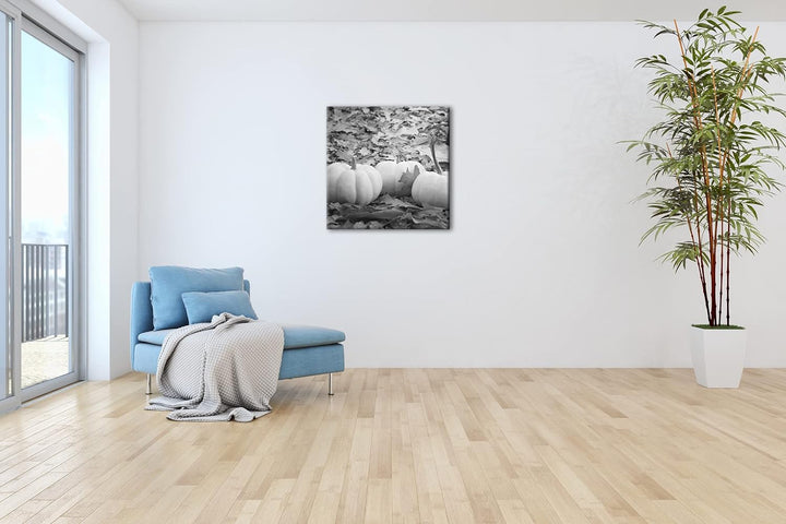 deyoli Herbstliche Kürbise Effekt: Schwarz&Weiss Format: 70x70 als Leinwandbild, Motiv fertig gerahm