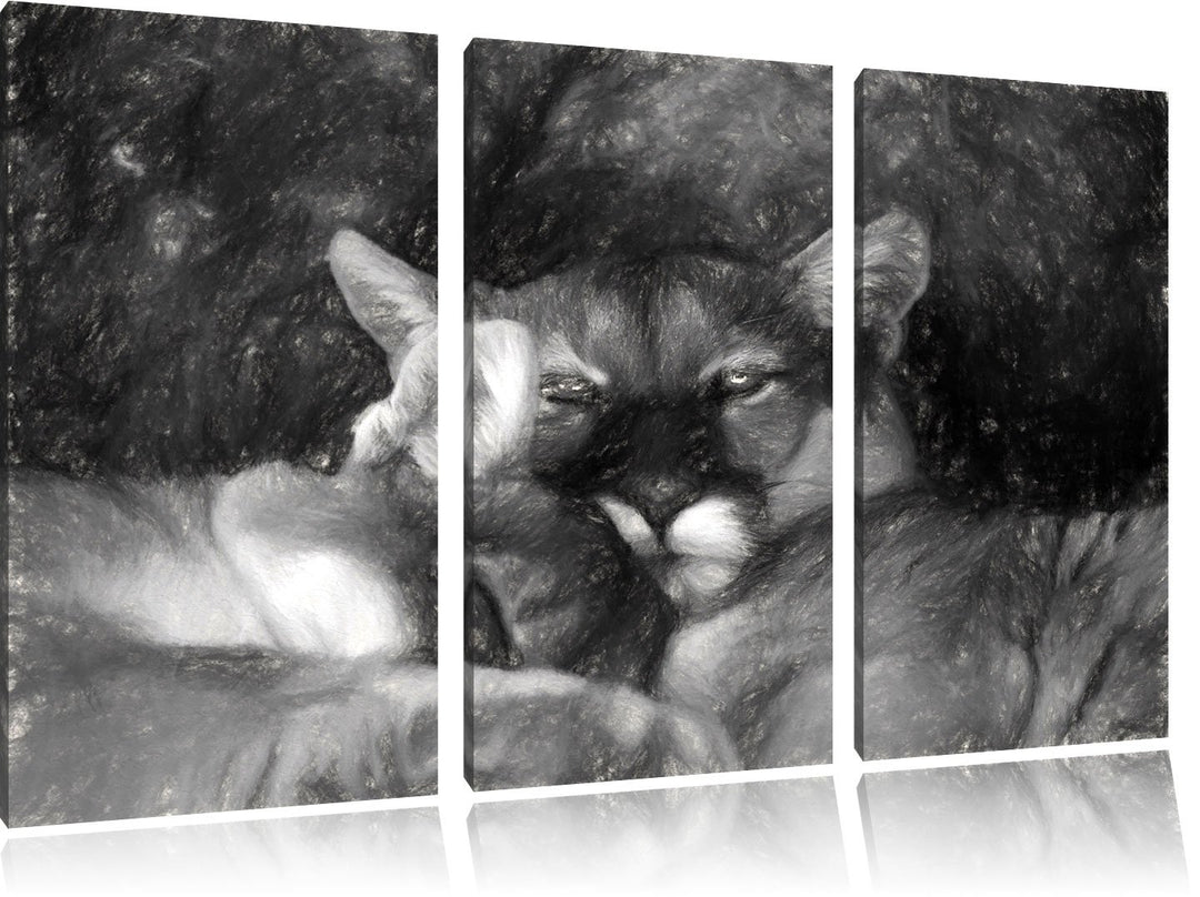 Pixxprint verschlafenes Puma Paar Kunst als Leinwandbild/Grösse: 3 Teilig (120x80) / Wandbild/Kunstd