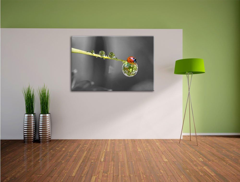 Pixxprint Marienkäfer als Leinwandbild/Grösse: 100x70 / Wandbild/Kunstdruck/fertig bespannt, 100x70