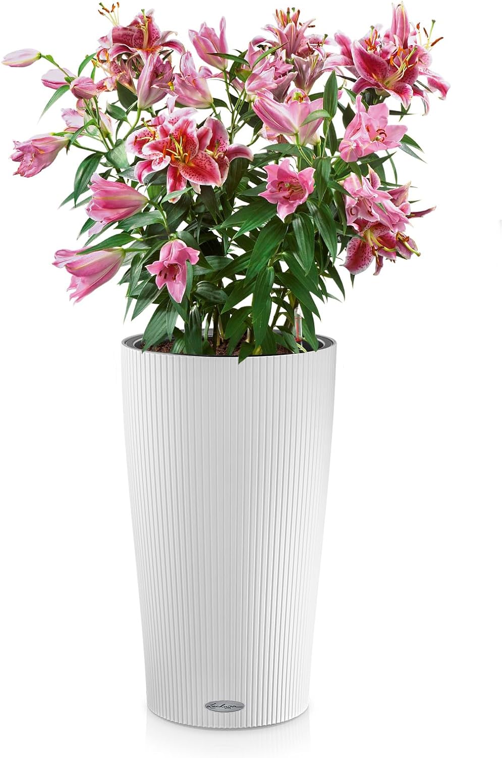 LECHUZA CILINDRO Color 32 weiss 13950 32x32x56 cm Weiss, 32x32x56 cm Weiss