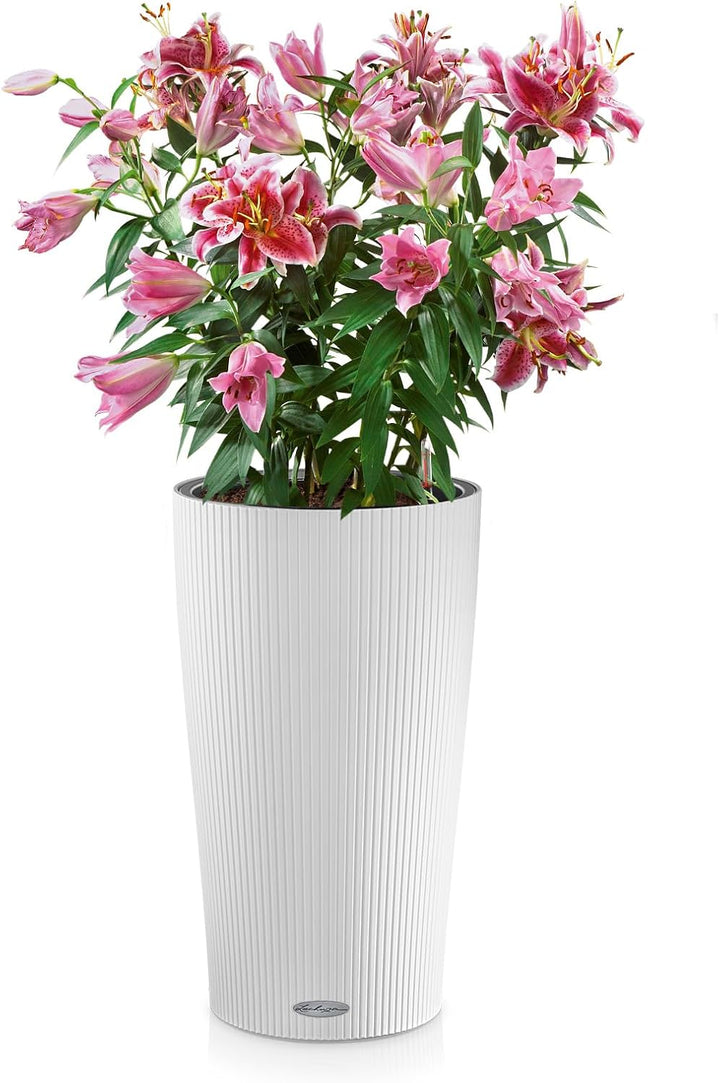 LECHUZA CILINDRO Color 23 weiss 13940 23x23x41 cm Weiss, 23x23x41 cm Weiss