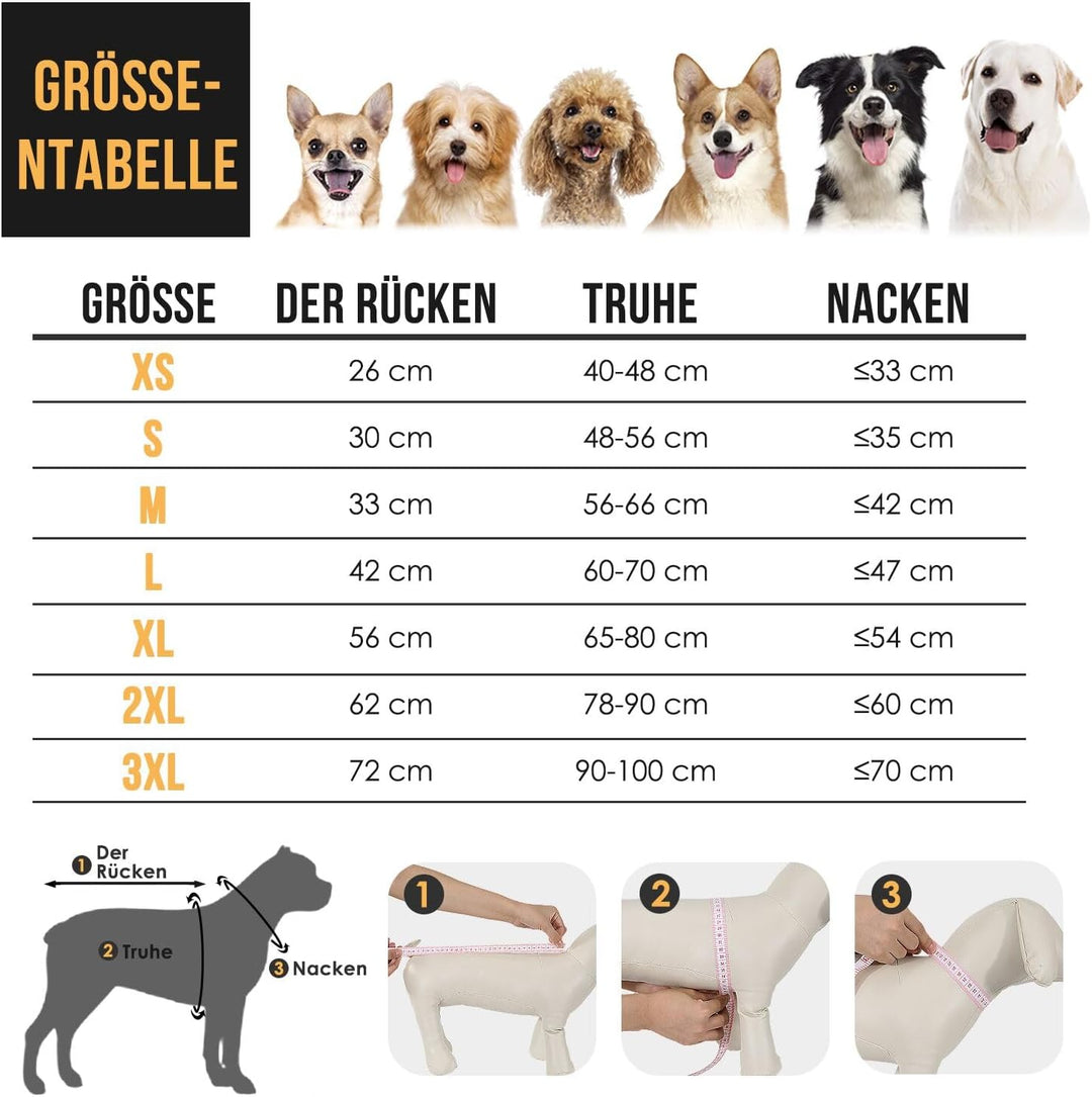 SlowTon Regenmantel Hund wasserdicht, durchsichtige doppellagige Regenjacke Hund mit Kapuze für klei