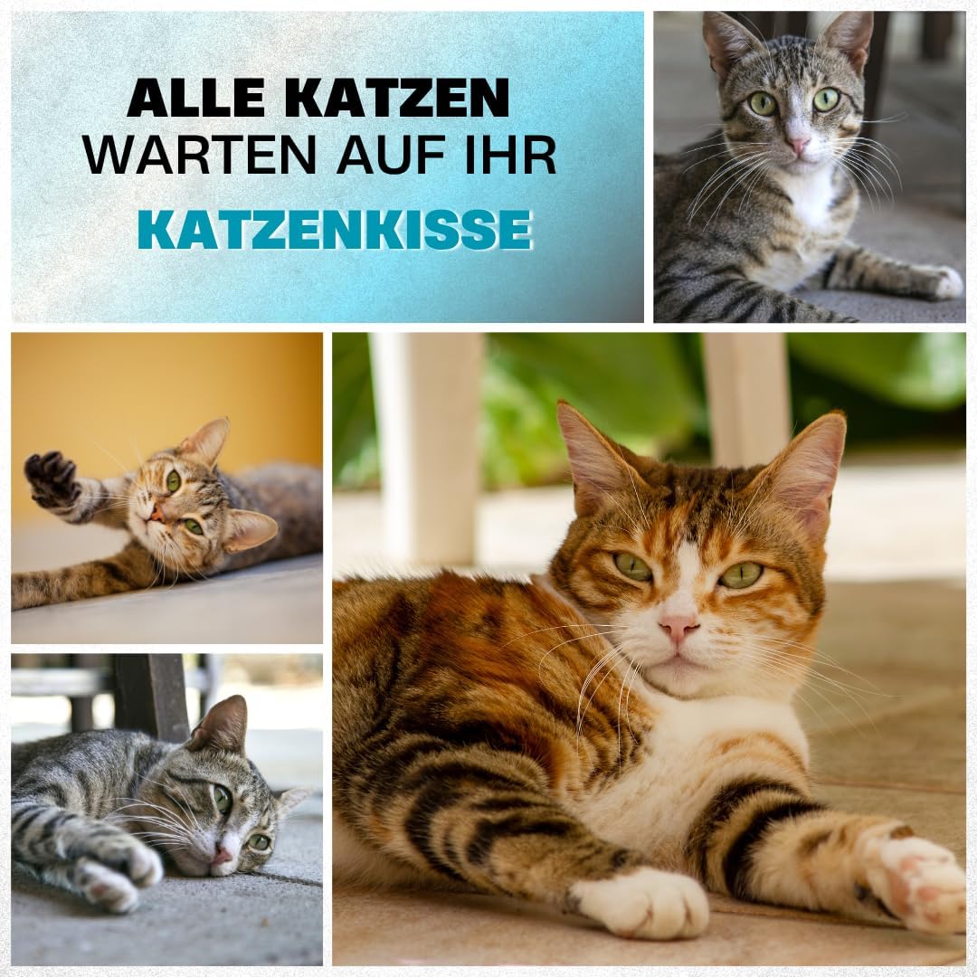 PRASKA Hundematte Katzenkissen für Grosse und Kleine Hunde oder Katzen Rechteckig 75x50cm Premium Ha