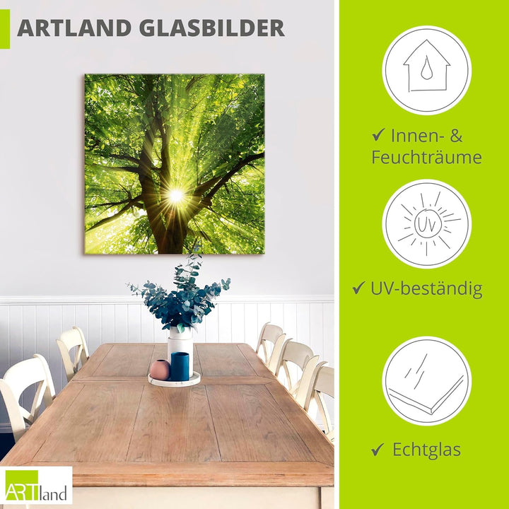 Glasbilder Wandbild Glas Bild einteilig 50x50 cm Quadratisch Wald Natur Botanik Bäume Laubbaum Sonne