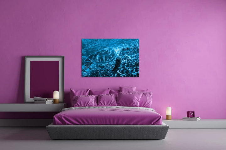 deyoli exotische Schildkröte im Ozean Format 80x60 Effekt: Monocrome Blau als Leinwandbild, Motiv fe