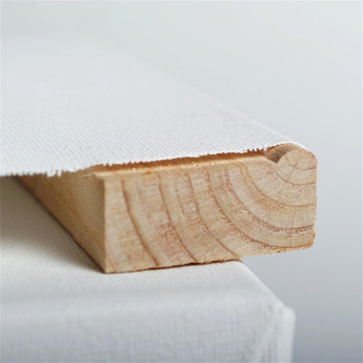 12 B.K. Plus LEINWÄNDE AUF KEILRAHMEN 20x20 cm | Premium Malgrund, malfertig, 100% Baumwolle 20x20cm