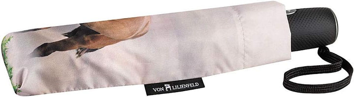 VON LILIENFELD Regenschirm Taschenschirm Wildpferde Windfest Auf-Zu-Automatik Kompakt Stabil Leicht