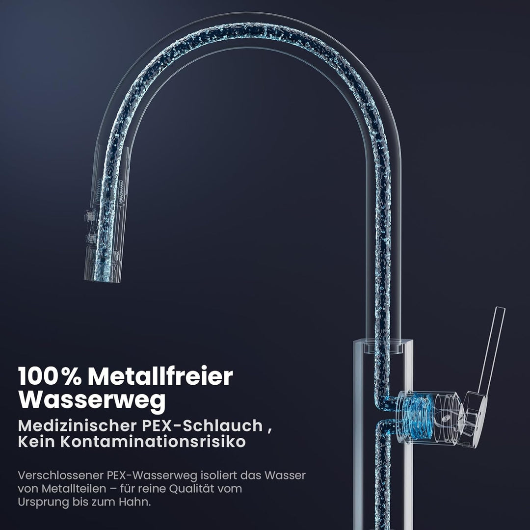 CECIPA Wasserhahn Küche Ausziehbar Edelstahl, Küchenarmatur mit Brause 2 Strahlarten, Spültischarmat