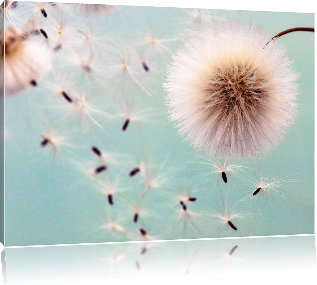 Pixxprint Pusteblumen in Bewegung als Leinwandbild/Grösse: 100x70 cm/Wandbild/Kunstdruck/fertig besp