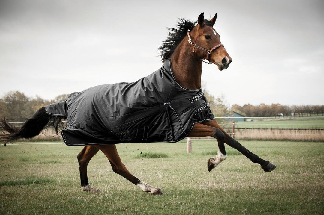 CATAGO Justin 2.7 150 g Teppich, Schwarz, 125 cm, 125 cm
