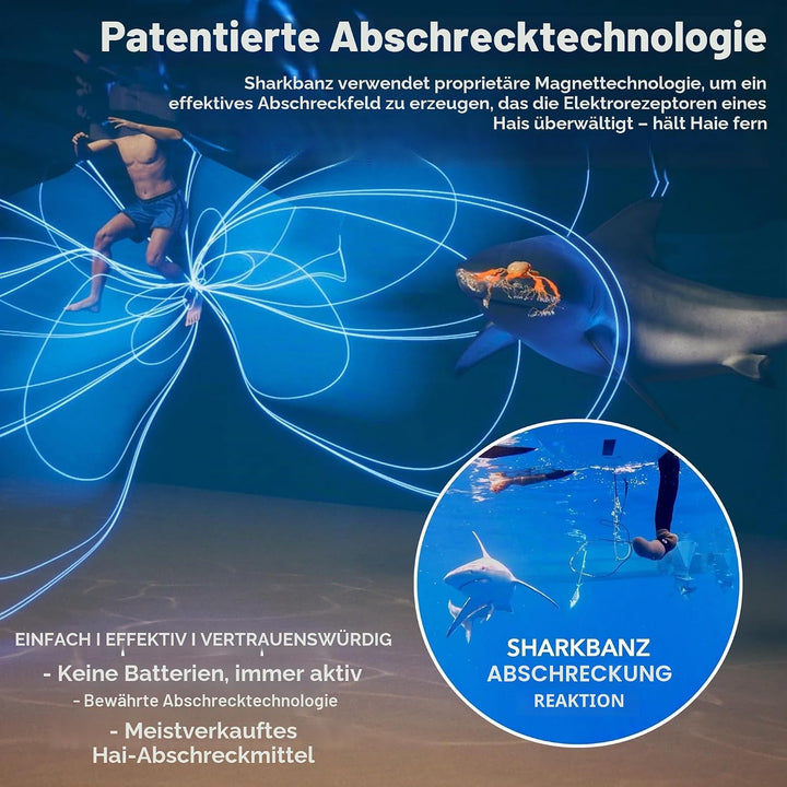 Sharkbanz 2 Blaugrau/Azurblau, Blaugrau/Azurblau