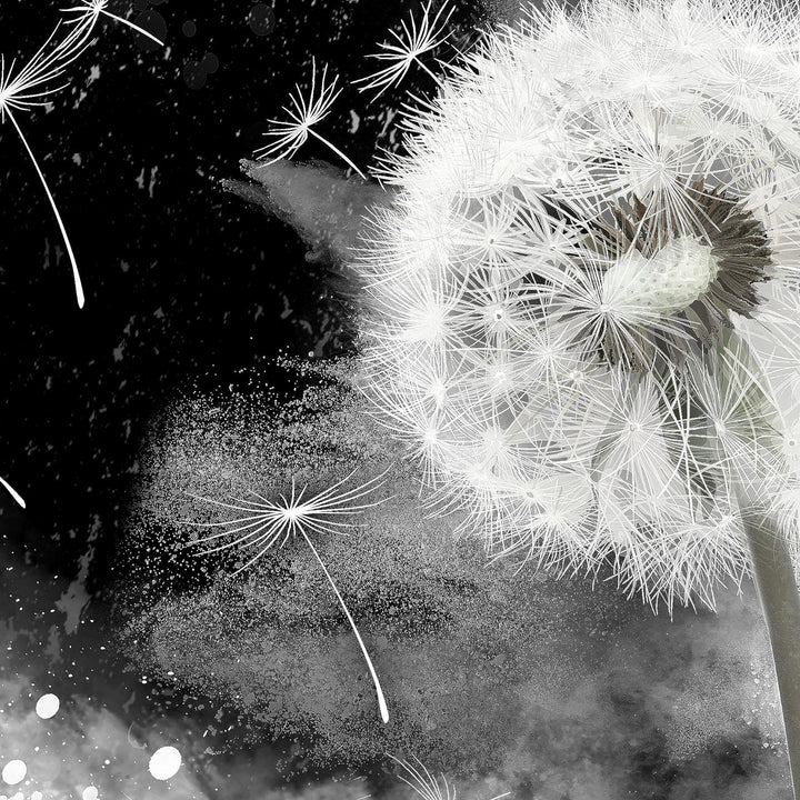 Runa Art Bild Wohnzimmer Schlafzimmer Pusteblume 5 Teilig Abstrakt Grau Wandbilder auf Vlies Leinwan