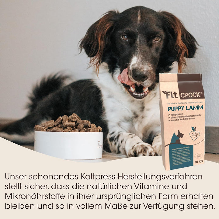 cdVet Fit-Crock Hundefutter trocken Puppy Lamm 10 kg, getreidefrei, 10 kg