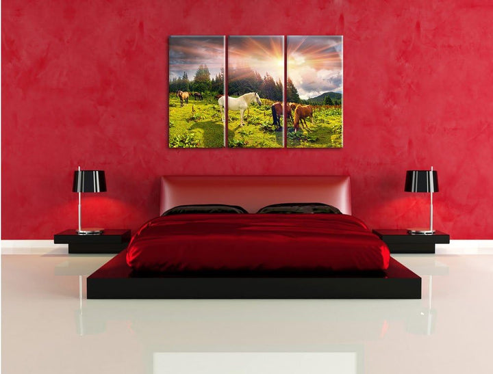 Pixxprint Carpathian Mustangs Pferde auf den Bergen 3-Teiler Leinwandbild 120x80 Bild auf Leinwand