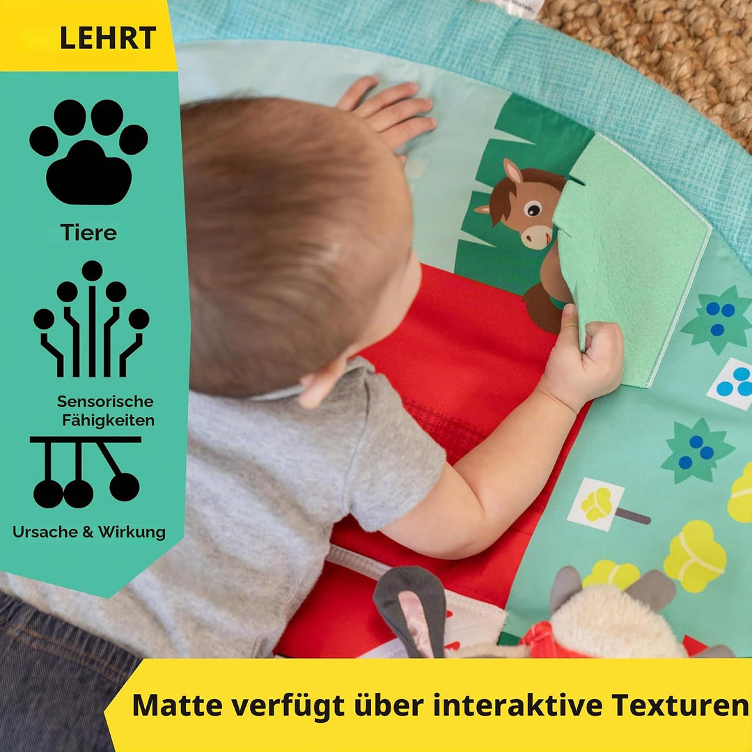 Baby Einstein Farm Explorers Happy Harvest Touch &amp; Feel Aktivitätsspielzeug mit musikalischem Plüsch