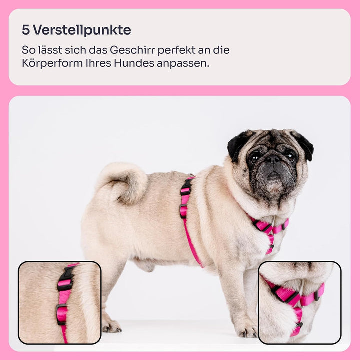 Chaba Guard Hundegeschirr Kleine Mittelgrosse Hunde Anti Zug &amp; Würgen Geschirr Hund Klein mit Kontro