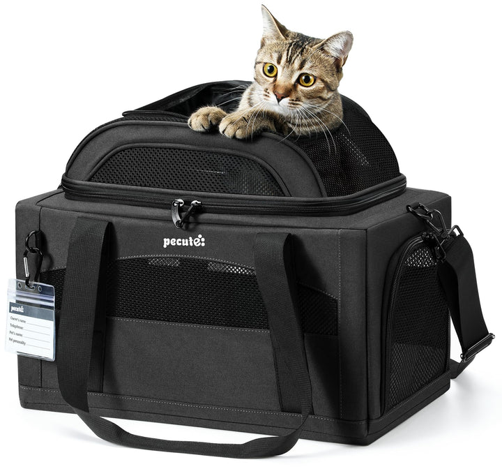 pecute Katzentasche Flugzeug Transporttasche Stabiler Halt Haustier Tragetasche, Transportbox Katze