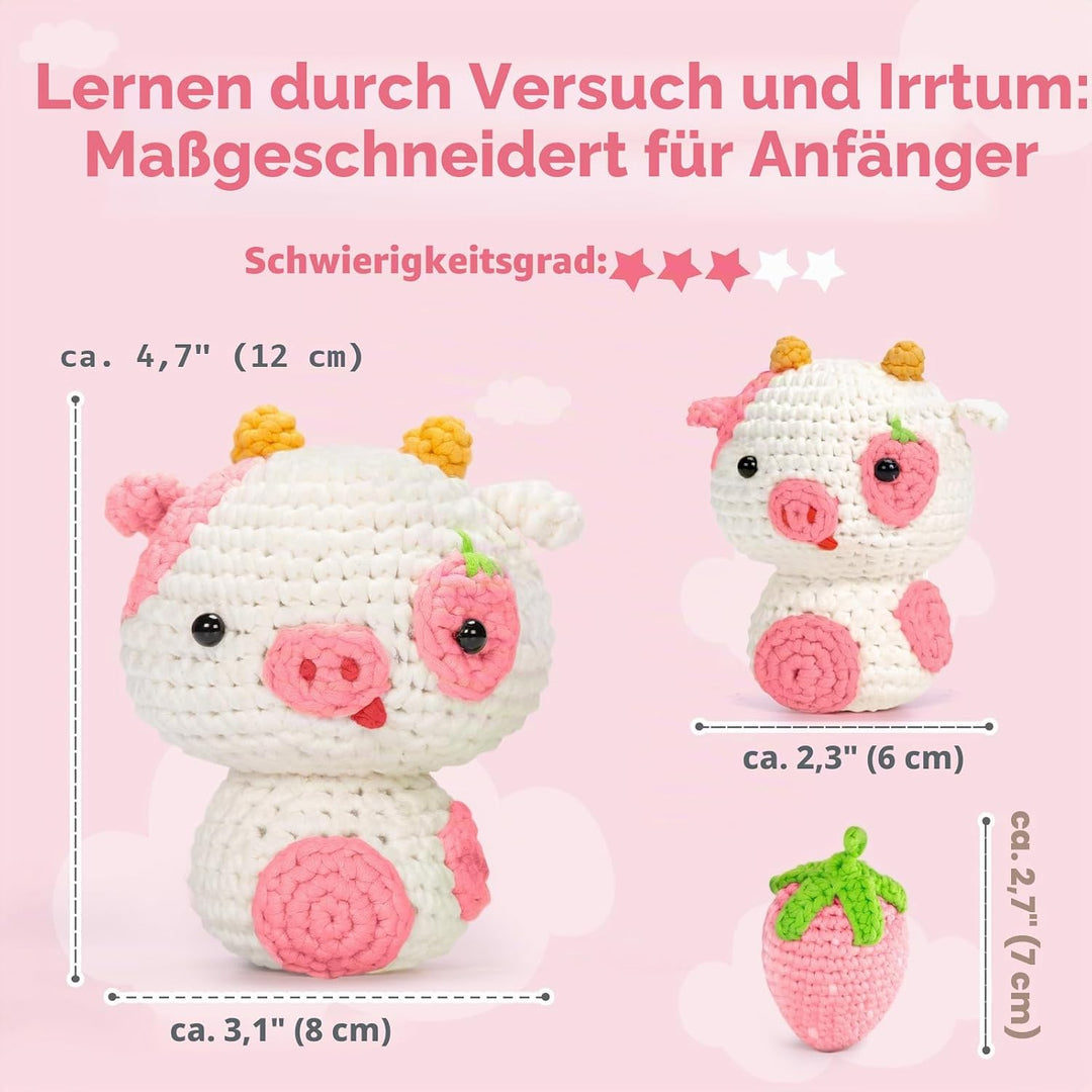 Mewaii Häkelset für Anfänger, Komplettes DIY Set für Erwachsene Häkelnadel Set mit Vorgestartetem Ga