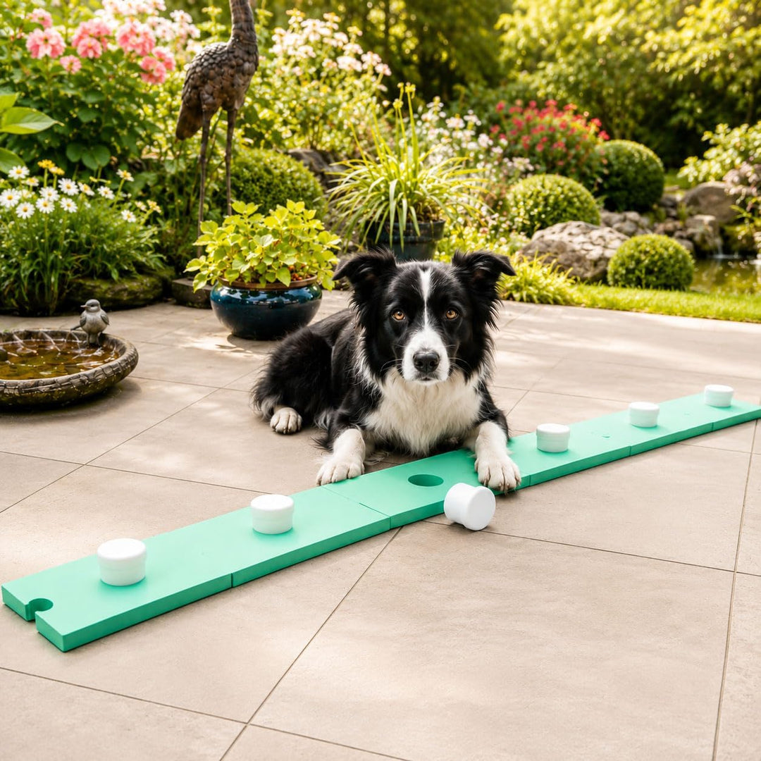 Schnüffelspass Supernasen-Set für Hunde (grosse und kleine) Hundetraining, Obedience, Hundesport, Do