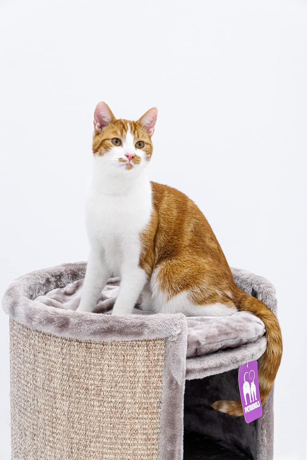 Petrebels XXL Kratztonne für grosse Katzen, Superdome 100 cm, Cappuccino | extrem stabil, Ø 50 cm Br
