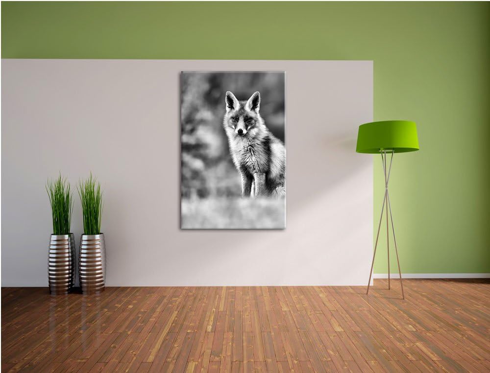 Pixxprint Listiger Fuchs als Leinwandbild/Grösse: 100x70 / Wandbild/Kunstdruck/fertig bespannt, 100x