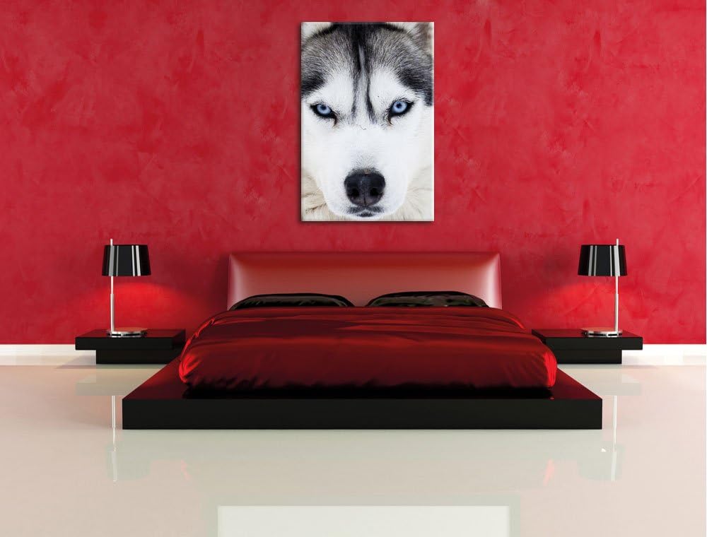 Pixxprint Husky, Format: 100x70 auf Leinwand, XXL riesige Bilder fertig gerahmt mit Keilrahmen, Kuns