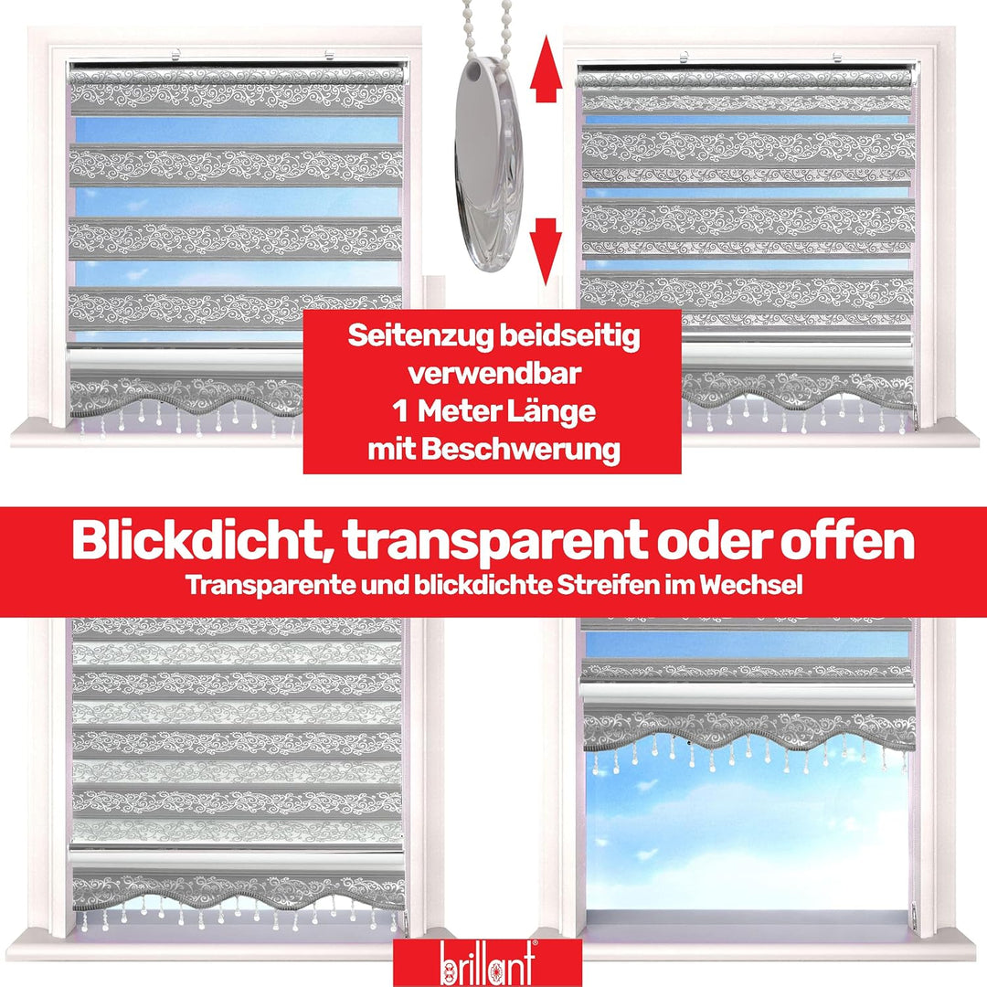 Brillant Doppelrollo Klemmfix ohne Bohren Grau Silber 200 x 60 cm (Länge x Breite) Duorollo Blickdic