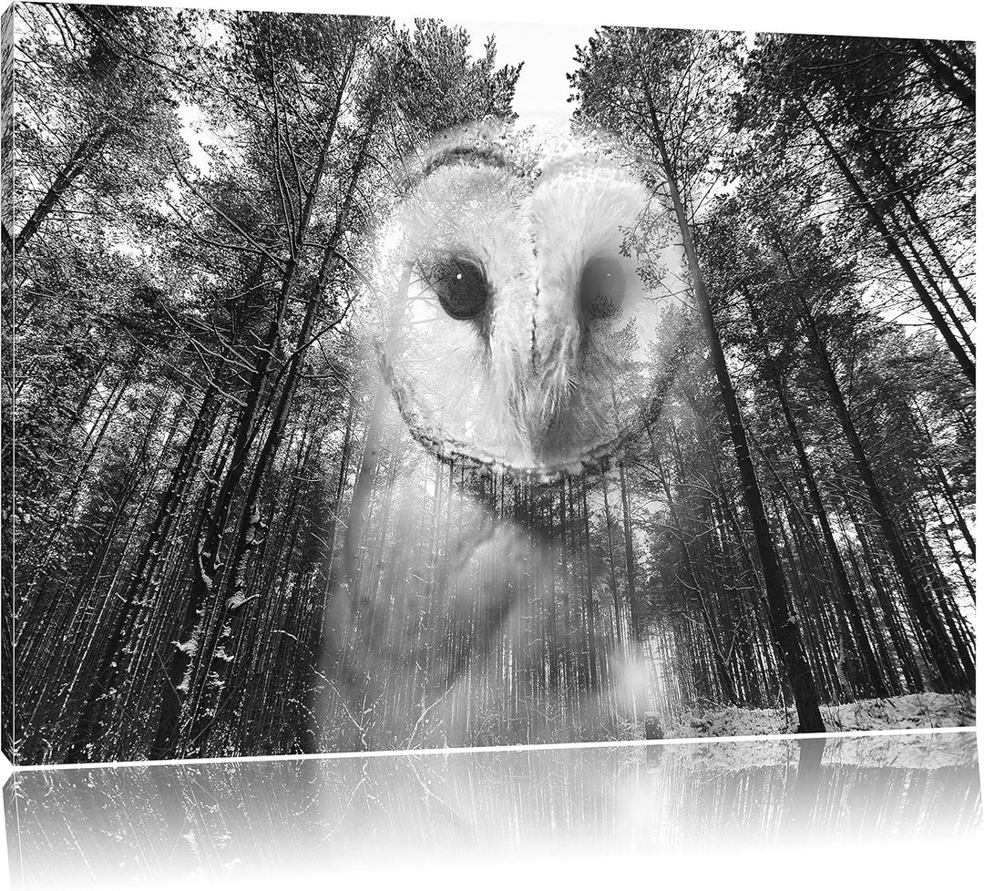 Pixxprint Portrait Einer Eule als Leinwandbild/Grösse: 100x70 / Wandbild/Kunstdruck/fertig bespannt,