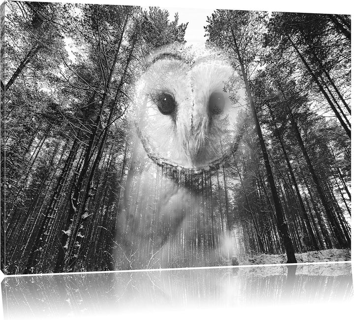 Pixxprint Portrait Einer Eule als Leinwandbild/Grösse: 100x70 / Wandbild/Kunstdruck/fertig bespannt,