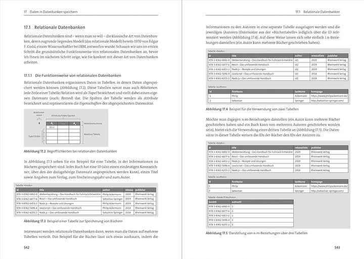 Fullstack-Entwicklung: Das Handbuch für Webentwickler in neuer Auflage. Über 800 Seiten Roadmap, Geb