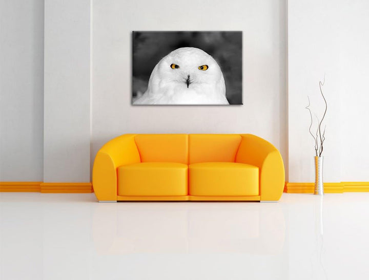 Prächtige schneeweisse Eule Schwarz/Weiss, Format: 100x70 auf Leinwand, riesige Bilder fertig gerahm