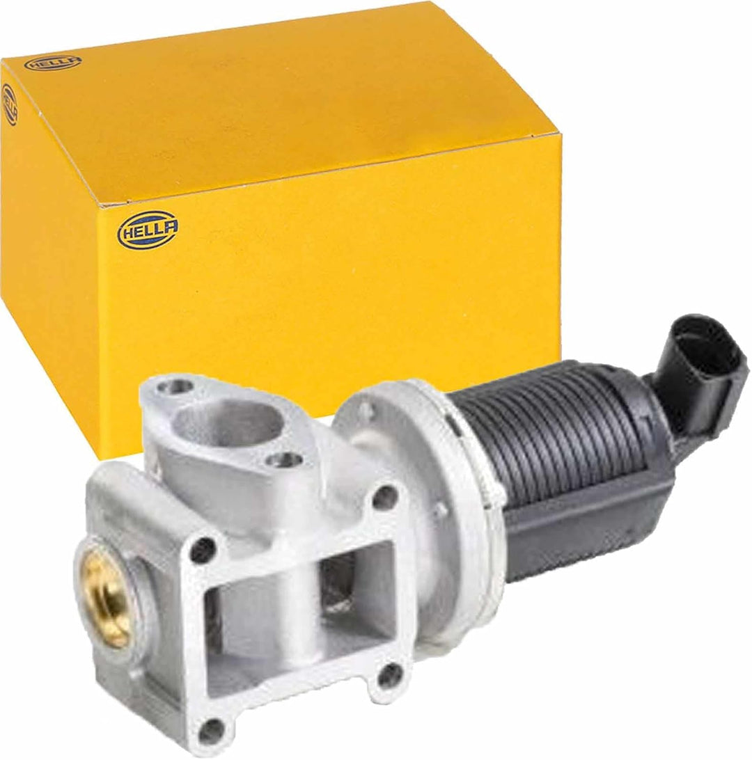 HELLA 6NU 010 171-401 AGR-Ventil - elektronisch - 2-polig - mit Dichtungen