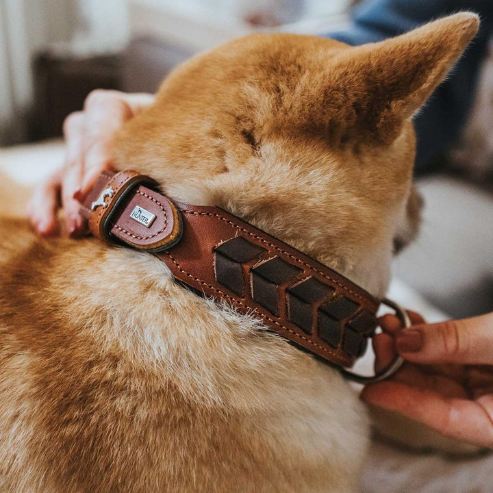 HUNTER EL PASO Hundehalsband, Leder, geschmeidig, geflochten, 50 (S-M), cognac/schwarz 50 (S-M) cogn