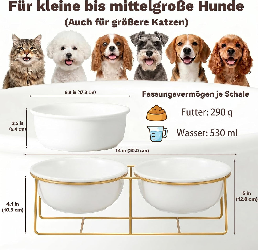 Hundenapf Keramik Futternapf Hund Erhöht - Doppel Napf Katze Fressnapf Hund - Hundenäpfe mit Goldene