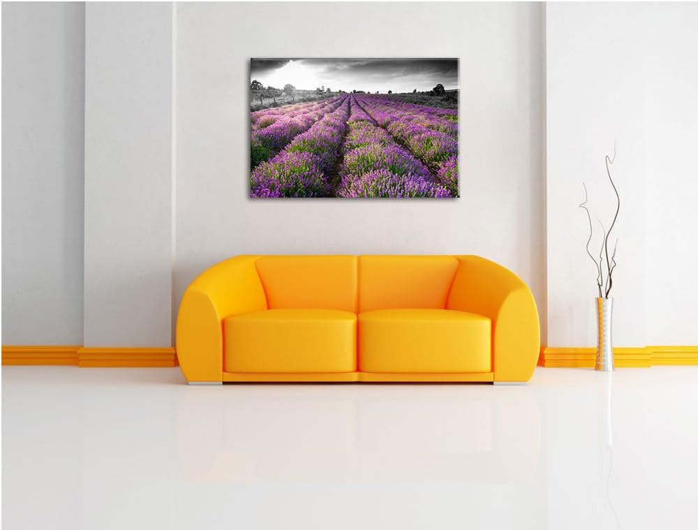 Lavendelfelder in der Provence schwarz/weiss Format: 100x70 auf Leinwand, XXL riesige Bilder fertig