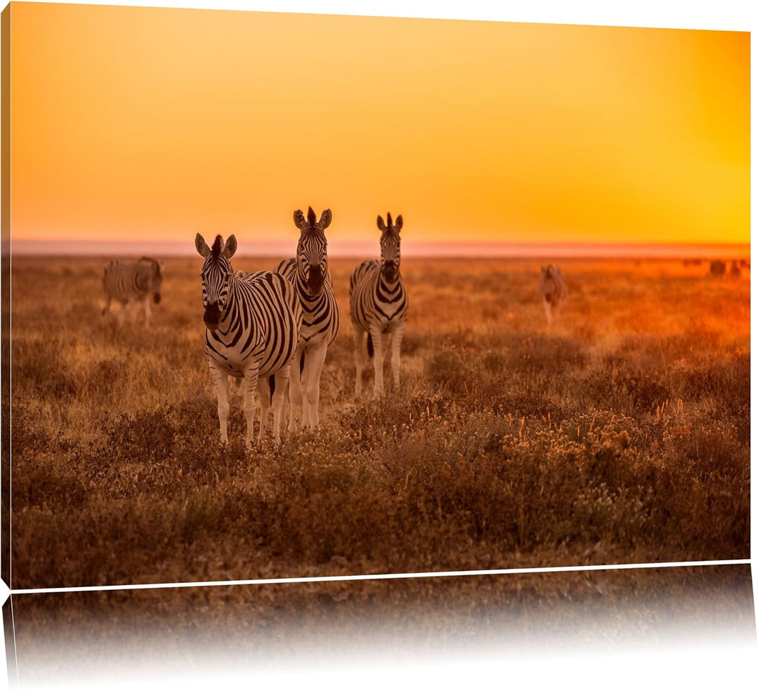 Zebra in der Savanne Format: 100x70 auf Leinwand, XXL riesige Bilder fertig gerahmt mit Keilrahmen,