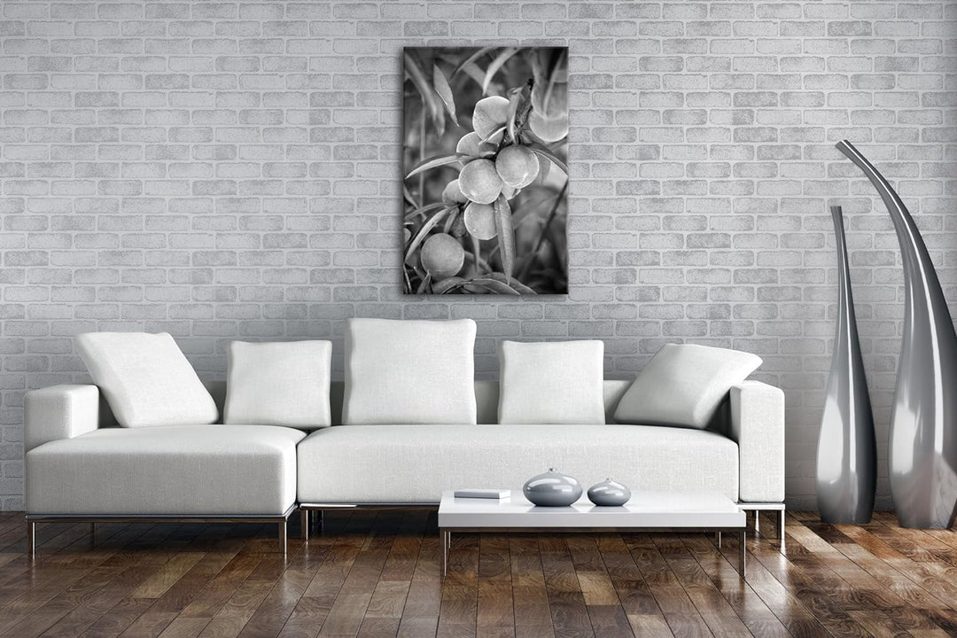 delikate Pfirsiche am Baum Effekt: Schwarz/Weiss Format: 100x70 als Leinwandbild, Motiv fertig gerah