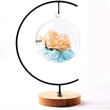 Fosinz Ornament Display Stand - Holz Eisen Hängende Stand Pflanzen Halter für hängende Glas Globe Ai