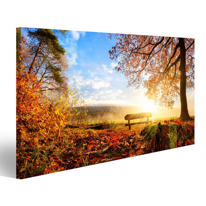 Bild Bilder auf Leinwand Herbstlandschaft mit der Sonne, die warm eine Bank unter einem Baum, vielen