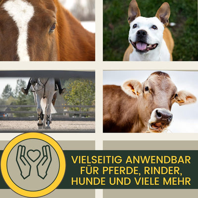 essigsaure Tonerde - Tonerde Pferd I Pferdebalsam kühlend I Tonerde Arnika Salbe I Mineralerde I Hei