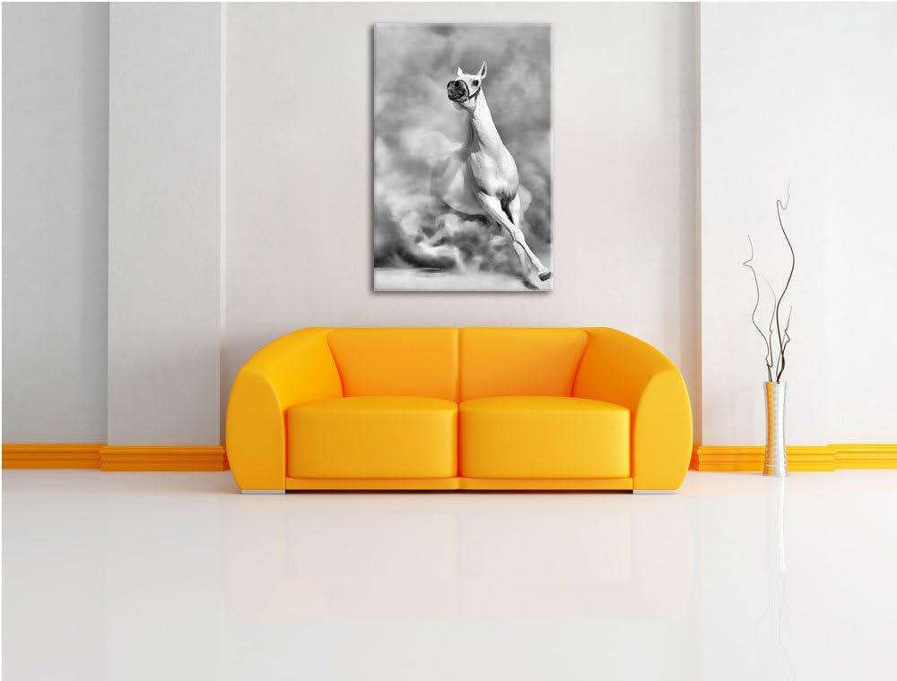 Pixxprint Weisses Pferd in der Wüste als Leinwandbild | Grösse: 100x70 cm | Wandbild | Kunstdruck |