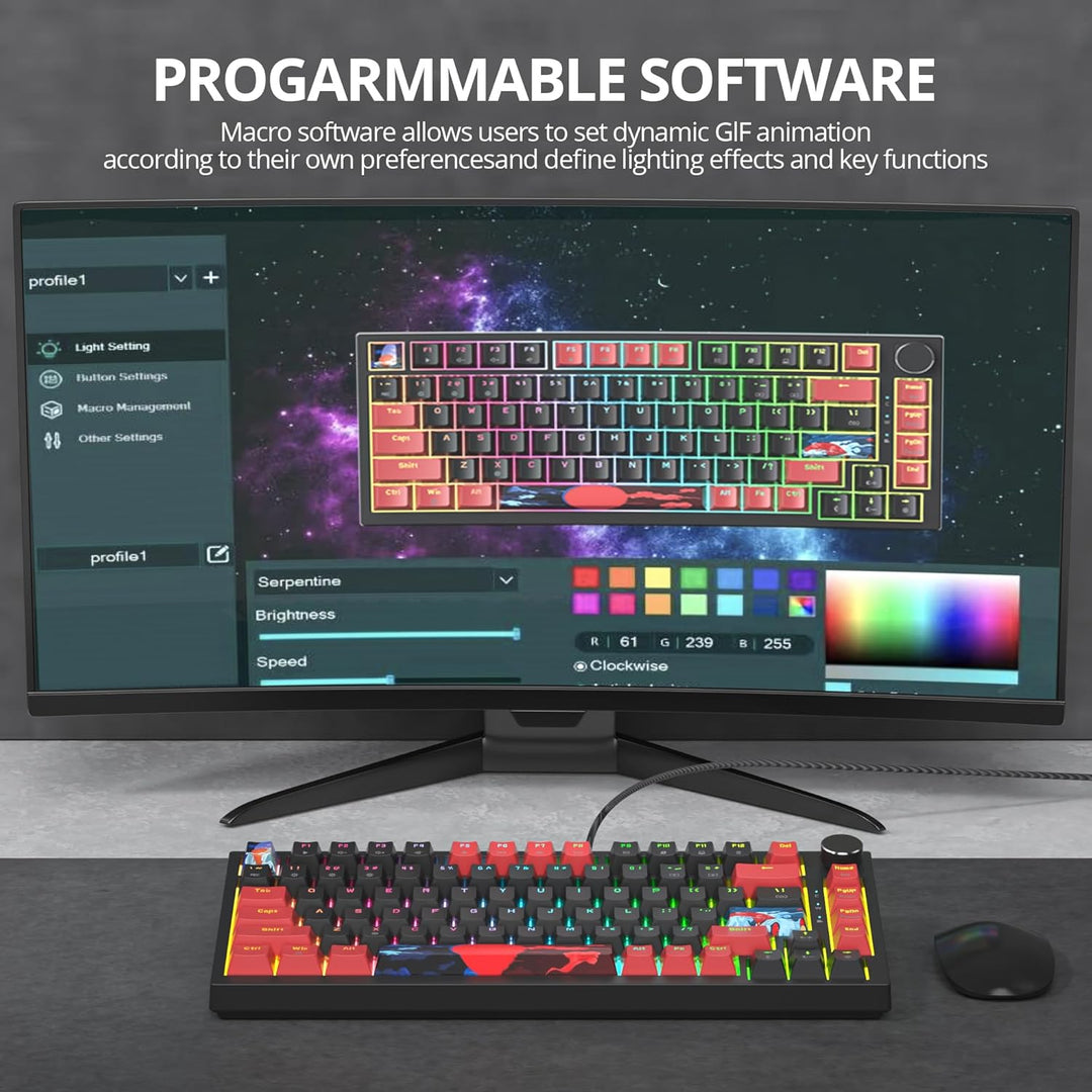 SOLIDEE Verkabelte 75% Mechanische Gaming-Tastatur,hot-swap-fähige Mechanische Tastatur mit Gasket S