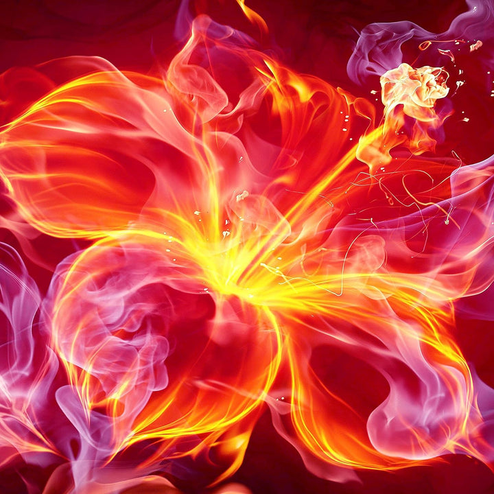 Runa Art Wandbilder Feuer Blume 5 Teilig Bild auf Vlies Leinwand Deko Wohnzimmer Abstrakt Orange Lil