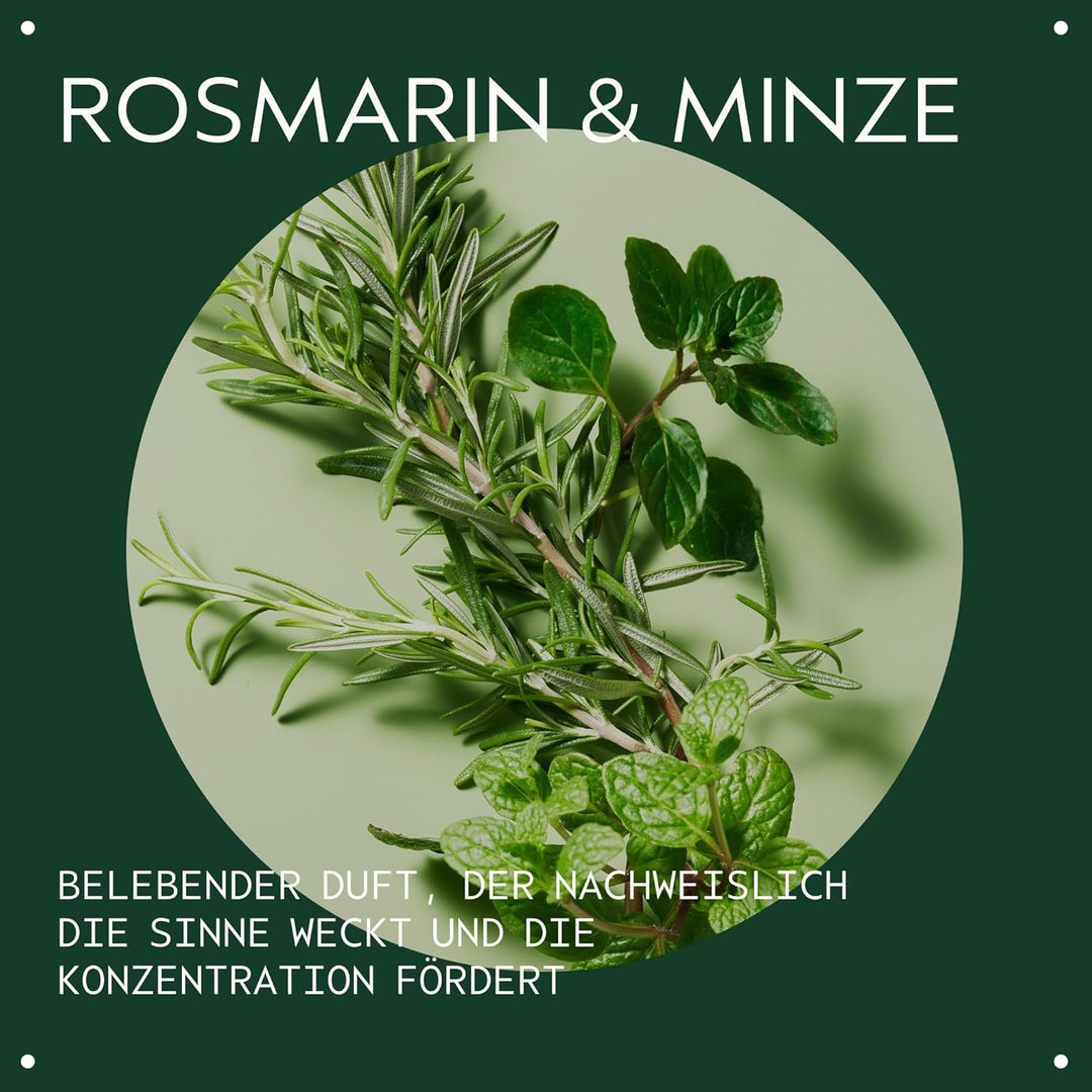 AVEDA Rosemary Mint Conditioner Haarspülung, 1000 ml Geruchlos 1 l (1er Pack), Geruchlos 1 l (1er Pa