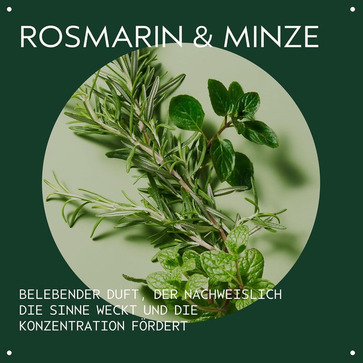 AVEDA Rosemary Mint Conditioner Haarspülung, 1000 ml Geruchlos 1 l (1er Pack), Geruchlos 1 l (1er Pa