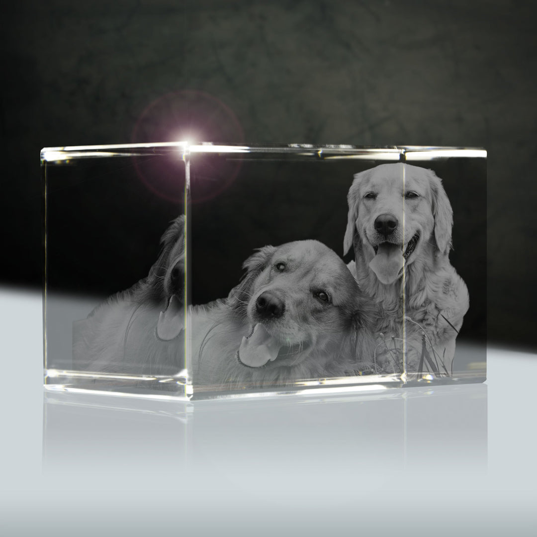 Glasportrait vom Foto (3D) | Quader 90mm | 1 bis 3 Personen oder Tiere zB als Geschenk für Paare mit