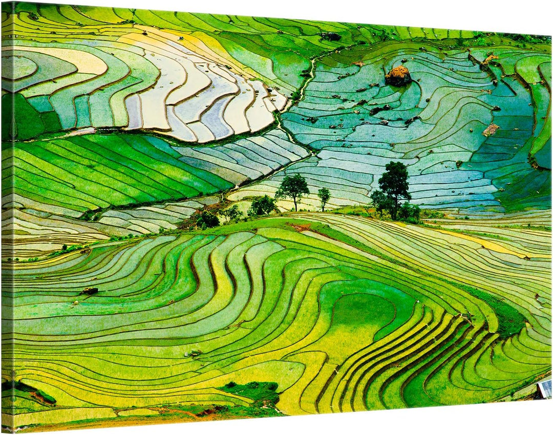 ge Bildet Bild auf Leinwand | Landschaftsbilder - Reisfelder in der Provinz Lao Cai - Vietnam K in 7